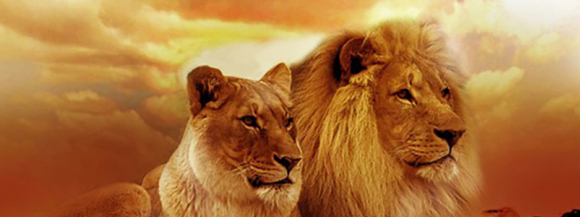 Stimmungsbild-Adalbert Heinrich-Schenk-1